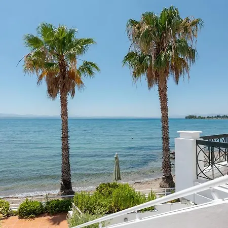 Beachfront Modern Apartment