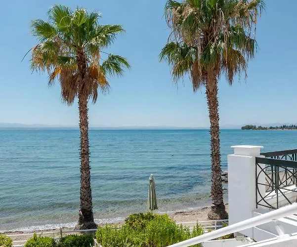 Beachfront Modern Apartment